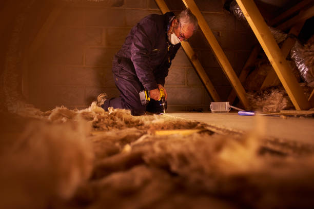 Best Residential Insulation in Yankton, SD